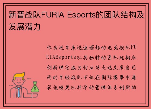新晋战队FURIA Esports的团队结构及发展潜力